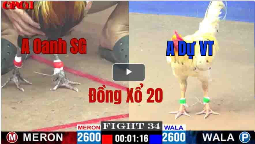 Trận 34 CPC1 12/05/2025